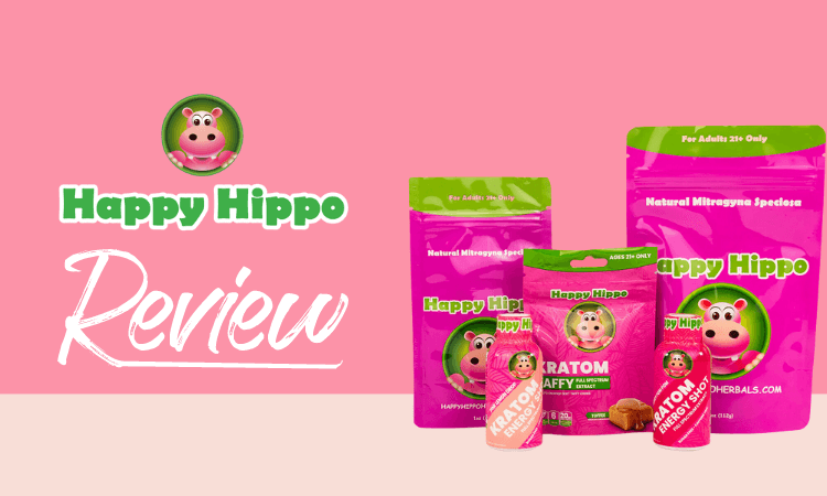 Happy-Hippo-Review