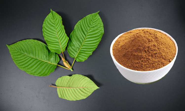 Red Vietnam Kratom Effects